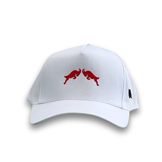 Gorra RB Orgullo