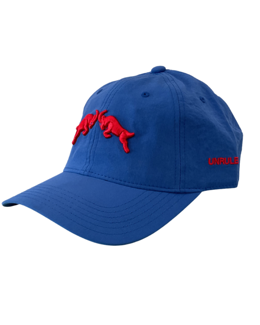 CURVA DEPORTIVA ROJIBLANCO